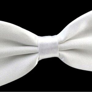 Elegant White Bow Tie
